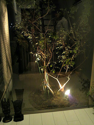 2012020119120000.jpg
