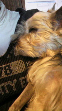 2011040609040000.jpg