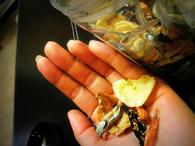 2012031621380000.jpg