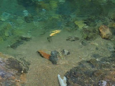 P1010846.JPG