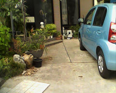 PICT0021.jpg
