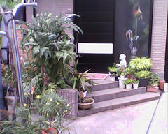 PICT0026.jpg
