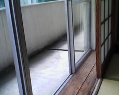 PICT0317.jpg