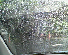 PICT0349.jpg