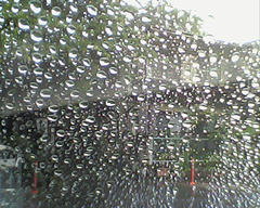 PICT0354.jpg