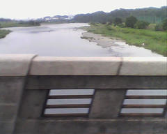 PICT0533.jpg