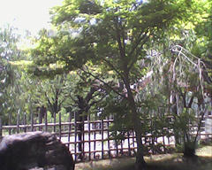 PICT0601.jpg