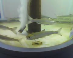 PICT0718.jpg