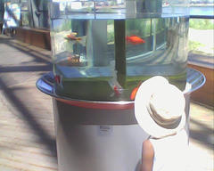 PICT0729.jpg