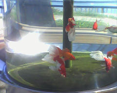 PICT0731.jpg