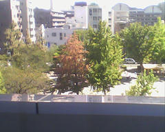 PICT0789.jpg
