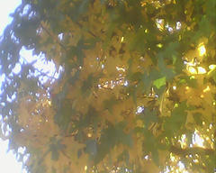 PICT0899.jpg