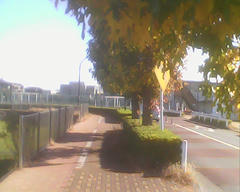 PICT0901.jpg