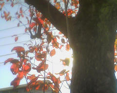PICT0908.jpg