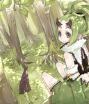 森の奥の光に