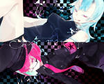 Spats&amp;amp;Tights