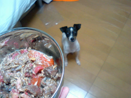 CA330229.JPG