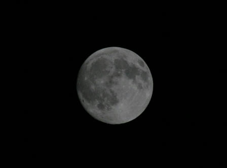 moon.jpg