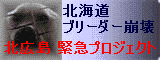 banner.gif