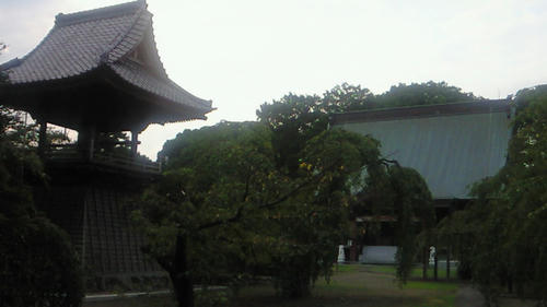 200908251705000.jpg