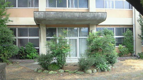 200908031320001.jpg