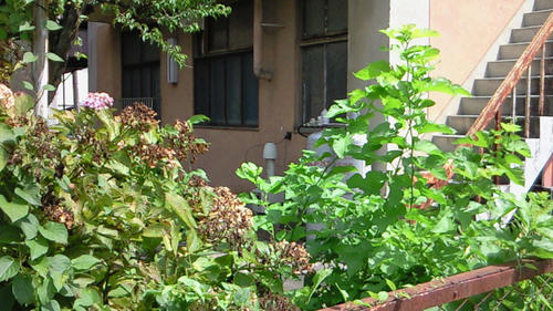 200908031322000.jpg