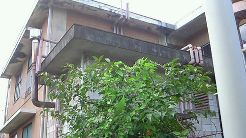 200908031326001.jpg
