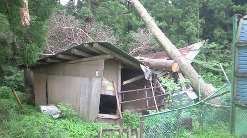 200907041412000.jpg