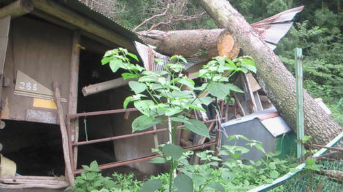 200907041412003.jpg