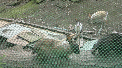 200907041413000.jpg