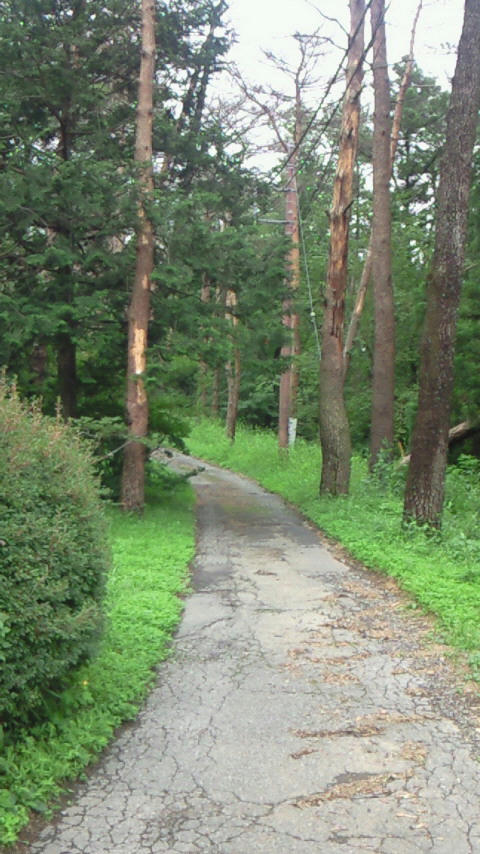 200907041418001.jpg
