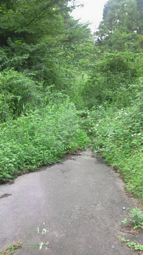 200907041419000.jpg