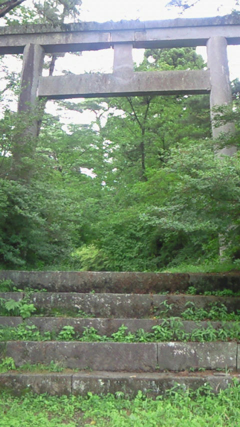 200907041419001.jpg