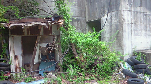 200907211441004.jpg
