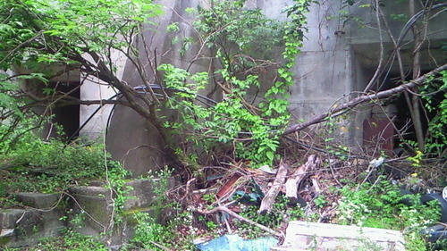 200907211442000.jpg