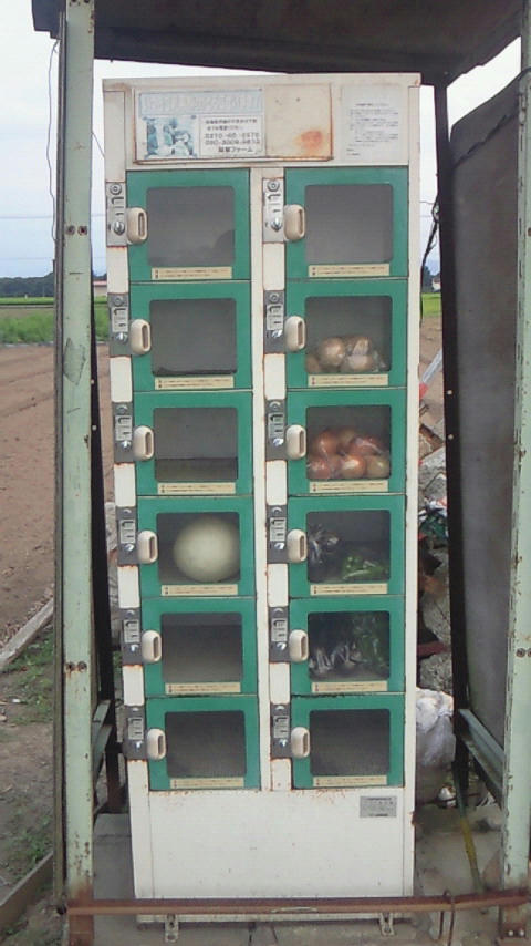 200908251637000.jpg