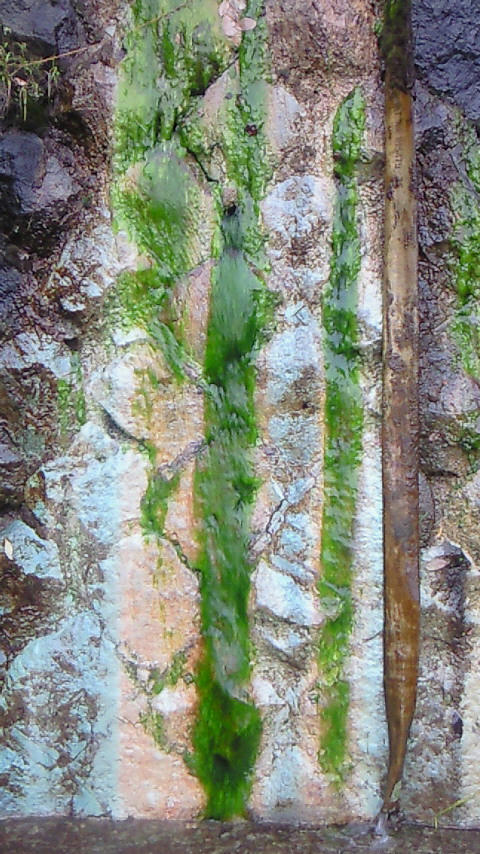 200907211407001.jpg