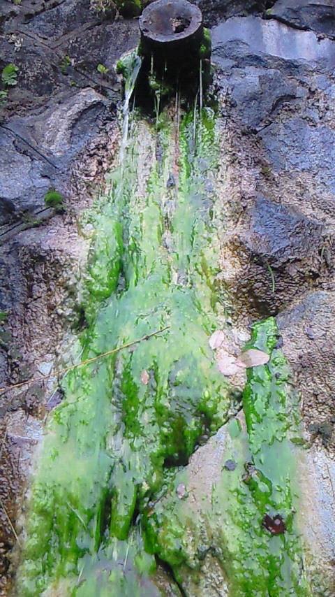 200907211407002.jpg