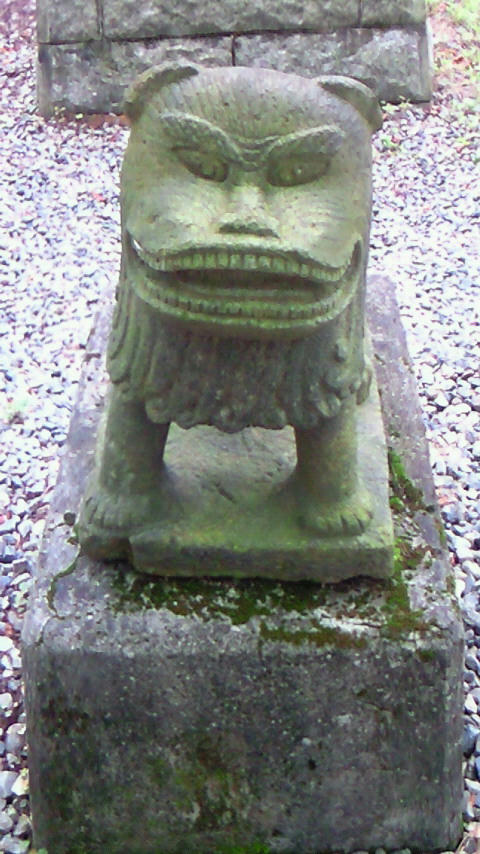 200907211414000.jpg