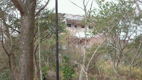 200901030959000.jpg