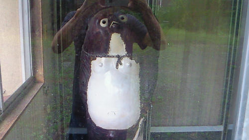 200907211519002.jpg
