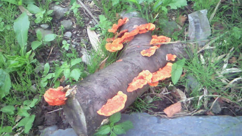 200907211239000.jpg