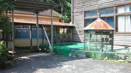 200908031406002.jpg