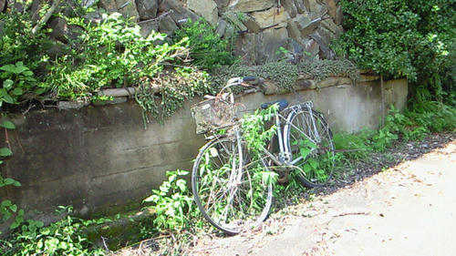 200908031337001.jpg