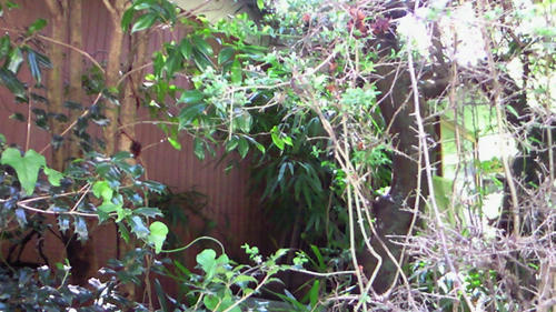 200908031338004.jpg