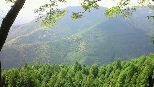 200908031351000.jpg