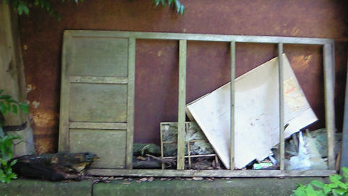 200908031339002.jpg