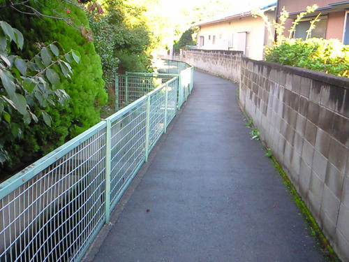 200910081614001.jpg