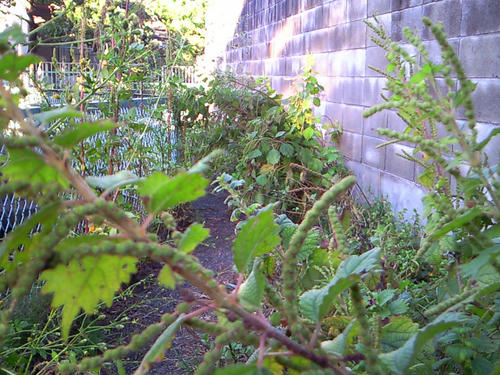 200910081617001.jpg