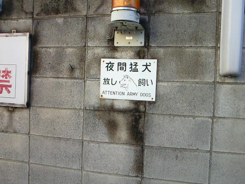 200910081619000.jpg
